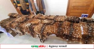 শরণখোলায় ১৯ টি হরিণের চামড়াসহ আটক ২