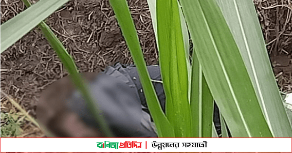 সাবেক সেনা সদস্যের হাত বাঁধা লাশ উদ্ধার