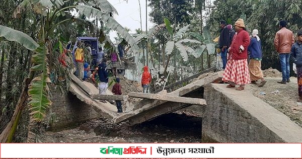 ভূরুঙ্গামারীতে সেতু ভেঙ্গে পড়ায় চরম দুর্ভোগে এলাকাবাসী