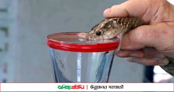 খুলনায় ১০০ কোটি টাকার সাপের বিষসহ আটক ৩