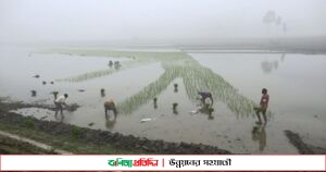 কুড়িগ্রামে শীতের প্রকোপ বেড়েই চলেছে