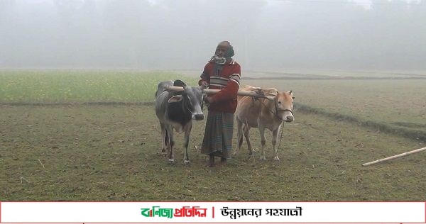 কুড়িগ্রামে তীব্র শীতে মানুষের দুর্ভোগ চরমে, বাড়ছে রোগবালাই