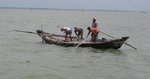 জাটকা আহরণে বিরত জেলেদের জন্য ২৬ হাজার টন চাল বরাদ্দ