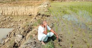 ফসলি জমির মাটি ইটভাটায় বিক্রির হিড়িক, শঙ্কার মুখে উৎপাদন