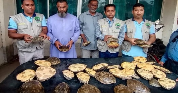 সুন্ধি প্রজাতির ৩৫ টি কাছিম উদ্ধার, আটক ২