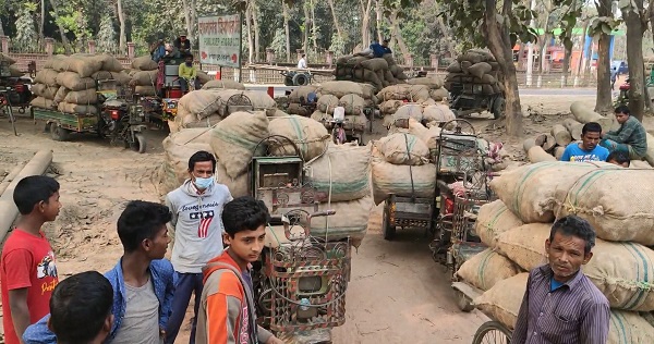 হিমাগারে জায়গা নেই-আলুর ব্যাপক দর পতনের আশঙ্কা