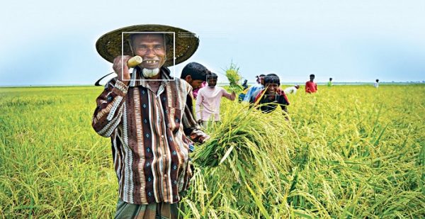 স্বল্প সুদে কৃষি ঋণ; পাল্টে গেছে কৃষকের জীবনযাত্রা