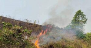 কুমিল্লা বিশ্ববিদ্যালয়ের পাহাড়ে আবারও আগুন