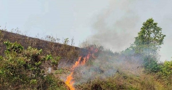 কুমিল্লা বিশ্ববিদ্যালয়ের পাহাড়ে আবারও আগুন