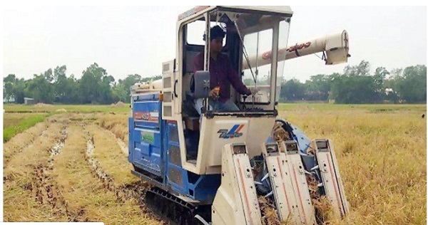 হারভেষ্টার মেশিন ব্যবহারে উৎসাহ বাড়ছে কৃষকদের