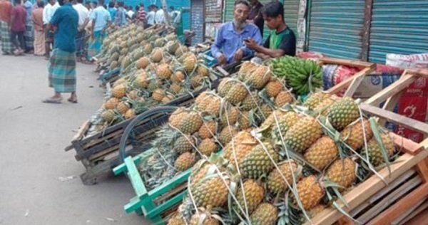 শ্রীমঙ্গলে আনারসের আগাম ফলন এবং ভালো দামে বেশ খুশি চাষীরা