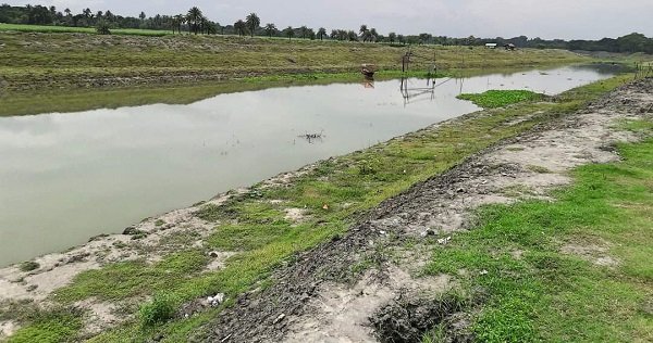 কপোতাক্ষ নদের পানির হঠাৎ পরিবর্তন