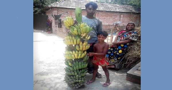 কেশবপুরে ফেসবুকে ভাইরাল হওয়া কলার কাঁদি দেখতে মানুষের ভীড়