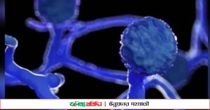 দেশে দু’জনের শরীরে ‘ব্ল্যাক ফাঙ্গাস’ শনাক্ত