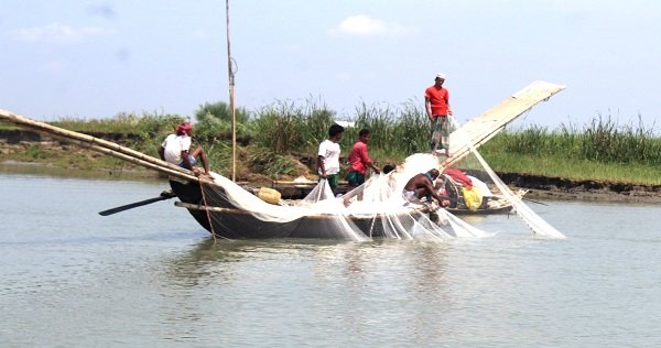 উঠে যাচ্ছে নিষেধাজ্ঞা আজ থেকে ইলিশ ধারায় নেই মানা