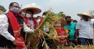 জনসংখ্যা বাড়লেও খাদ্য নিরাপত্তায় চ্যালেঞ্জ মোকাবেলা সম্ভব হচ্ছে: কৃষিমন্ত্রী