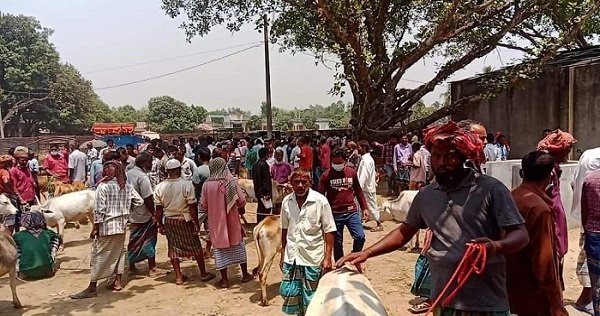 জরিমানা ও মুচলেকা দিলেন হাটের ইজারাদার