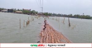 জোয়ারের পানিতেই নাকাল সাতক্ষীরা উপকূলবাসী