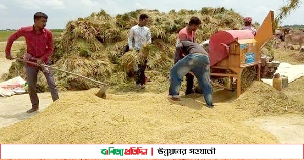 বোরো সংগ্রহে লক্ষ্যমাত্রা অর্জন খাদ্য বিভাগের বড় চ্যালেঞ্জ