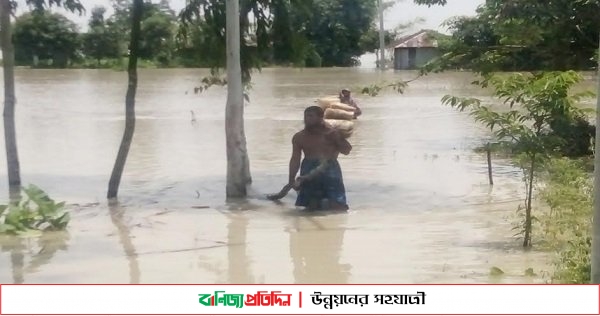 তিস্তায় পানি বৃদ্ধি ২ হাজার পরিবার পানি বন্দি