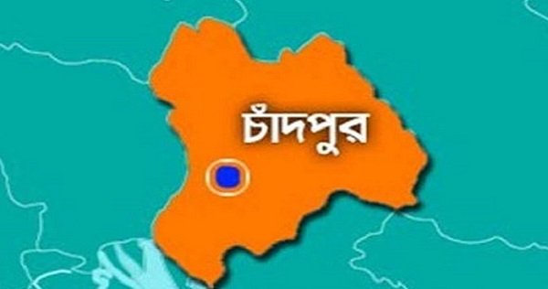 চাঁদপুরে পানিতে ডুবে যমজ ভাই-বোনের মৃত্যু