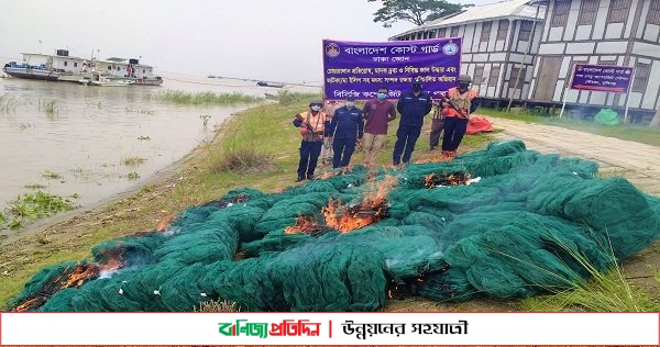 কোস্ট গার্ড এর অভিযানে অবৈধ চাইজালসহ আটক এক