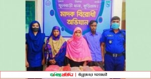 ফুলবাড়ীতে মাদক বিরোধী অভিযনে আটক ৩