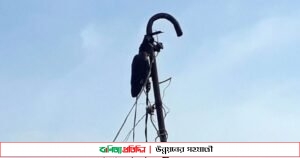 ৭ ঘণ্টা পর বিদ্যুতের তারে আটকে থাকা কাক উদ্ধার