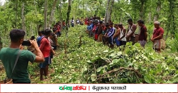 প্রতিহিংসার শিকারে নিঃস্ব আগার পুঞ্জির খসিয়ারা