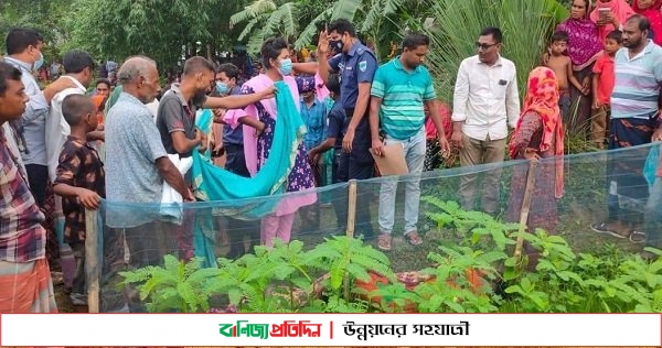 কুষ্টিয়ায় খেত থেকে নারীর লাশ উদ্ধার