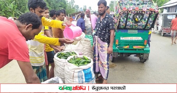 পটোলের কেজি ১০ টাকা