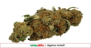 স্কুলব্যাগে সাড়ে ৫১ কেজি গাঁজা, আটক ৯