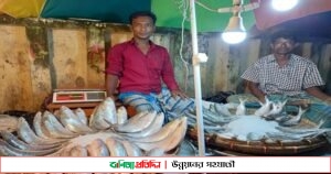 বাজারে রূপালি ইলিশের দাম বেশি, হতাশ ক্রেতা বিক্রতা