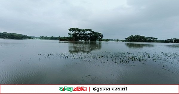 বরগুনায় লাগাতার বর্ষণে নিম্নাঞ্চল প্লাবিত