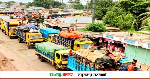 দৌলদিয়া ফেরি ঘাটে গণপরিবহন ও পশুবাহি ট্রাকের দীর্ঘ লাইন