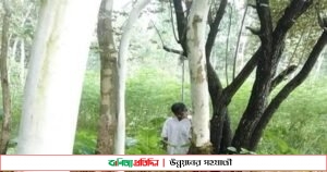 কুড়িগ্রামে গাছ থেকে ঝুলন্ত মরদেহ উদ্ধার