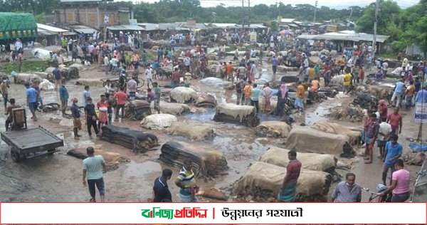 যশোরের রাজারহাটে জমেনি বৃহত্তম চামড়ার মোকাম