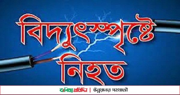 ফুলবাড়ীতে বিদ্যুৎস্পৃষ্টে গৃহবধূর মৃত্যু