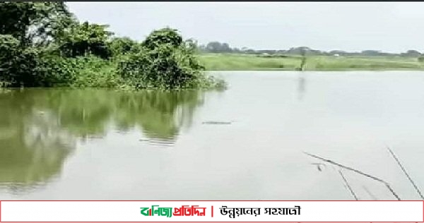 ফরিদপুরে জলাধারে ‘কুমির’ আটকে আতঙ্কে গ্রামবাসী