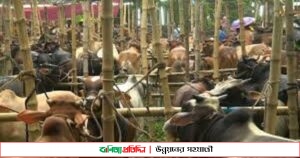 আনোয়ারায় নানা শর্তে বসছে পশুর হাট