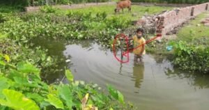 মাগুরায় সরকারি জমিতে পৌর কমিশনারের প্লট বাণিজ্যের অভিযোগ