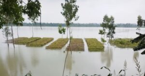 কুড়িগ্রামে বাড়ছে নদীর পানি, বন্যার আশঙ্কা