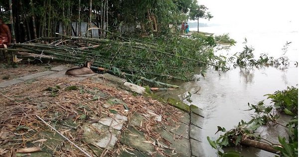 তিস্তার তীর রক্ষা বাঁধের ১০০ মিটার ব্লকপিচিংয়ে ধস