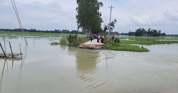 বাসাইলে সড়ক ভেঙে যোগাযোগ বিচ্ছিন্ন