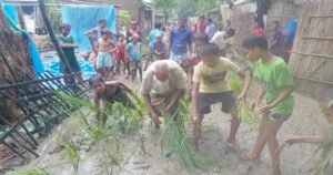 ঠাকুরগাঁওয়ে রাস্তায় ধানের চারা লাগিয়ে এলাকাবাসীর প্রতিবাদ