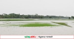 আনোয়ারায় পানির নীচে আমনের বীজতলা