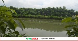 সখের পুকুর এখন আয়ের উৎস