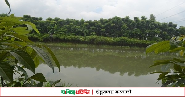 সখের পুকুর এখন আয়ের উৎস