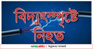 নোয়াখালীতে বিদ্যুৎস্পৃষ্টে ভ্যান চালকের মৃত্যু