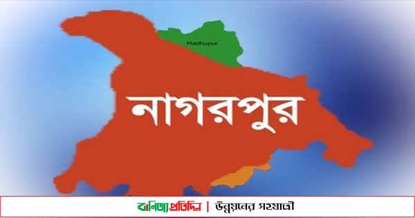 নাগরপুরে পুকুরে ডুবে দুই ভাইয়ের মৃত্যু